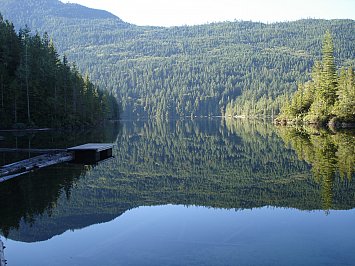 Vancouver Island, Canada: Cocktails by the highway