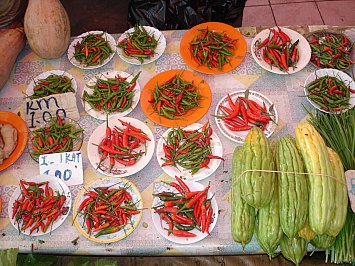 Asian Noodle Salad