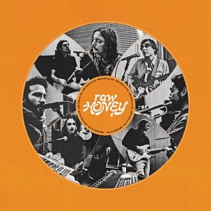 Drugdealer: Raw Honey (Mexican Summer/Southbound)