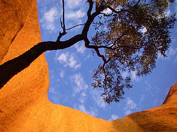 Uluru/Ayers Rock, Outback Australia: Into the great wide open
