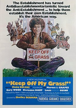 THOSE TRIPPY HIPPIES ON THE SCREEN (2025): Posters for psychedelic films of the late Sixties and beyond