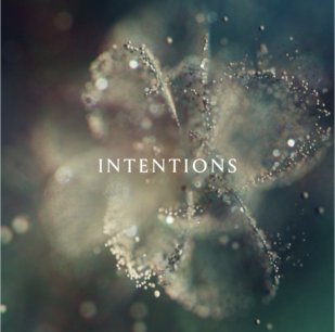 Anna: Intentions (Mercury KX/digital outlets)