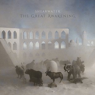 Shearwater: The Great Awakening (Polyborus/bandcamp)