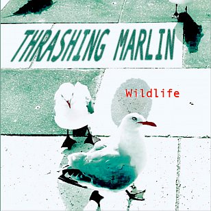 Thrashing Marlin: Wildlife (Braille/bandcamp)
