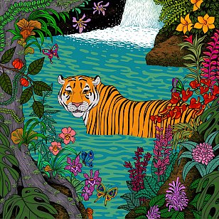 Skilaa: Tiger in the River (digital outlets)