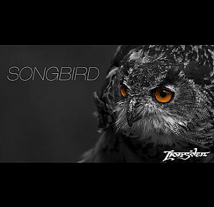 Lionsden: Songbird (usual digital outlets)