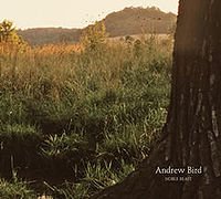 Andrew Bird: Noble Beast (Fat Possum)