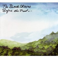 The Black Crowes: Before the Frost . . . Until the Freeze (2009)
