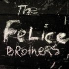 BEST OF ELSEWHERE 2008: The Felice Brothers: The Felice Brothers (Shock)