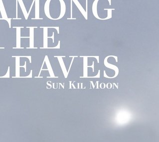 Sun Kil Moon: Among the Leaves (Caldo Verde)