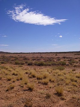 The Australian Outback: Dry land, dry characters, dry throat