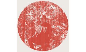 Owen Pallett: Heartland (Domino)