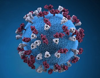 THE COVFEFE VIRUS (2020): More dangerous than SARS and the Coronavirus