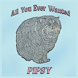 Pipsy: All You Ever Wanted (digital outlets)