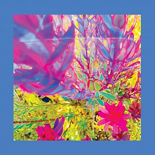 The Reds, Pinks and Purples: The Past is a Garden I Never Fed (Fire/digital outlets)