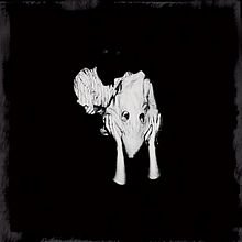 Sigur Ros: Kveikur/Candlewick (XL)