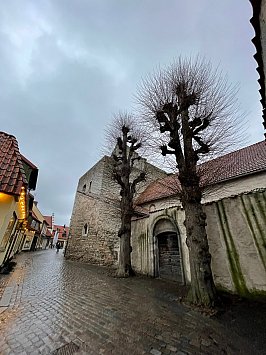 Visby, Gotland: And the wind begins to howl . . . 