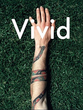 VIVID: THE PAUL HARTIGAN STORY by DON ABBOTT